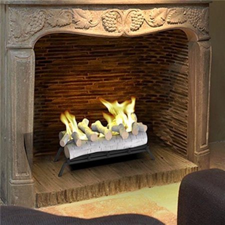 REGAL FLAME Regal Flame ECK20BRC24 24 in. Convert to Ethanol Fireplace Log Set with Burner Insert from Gel or Gas Logs; Birch - 24 x 10 x 15 in. ECK20BRC24